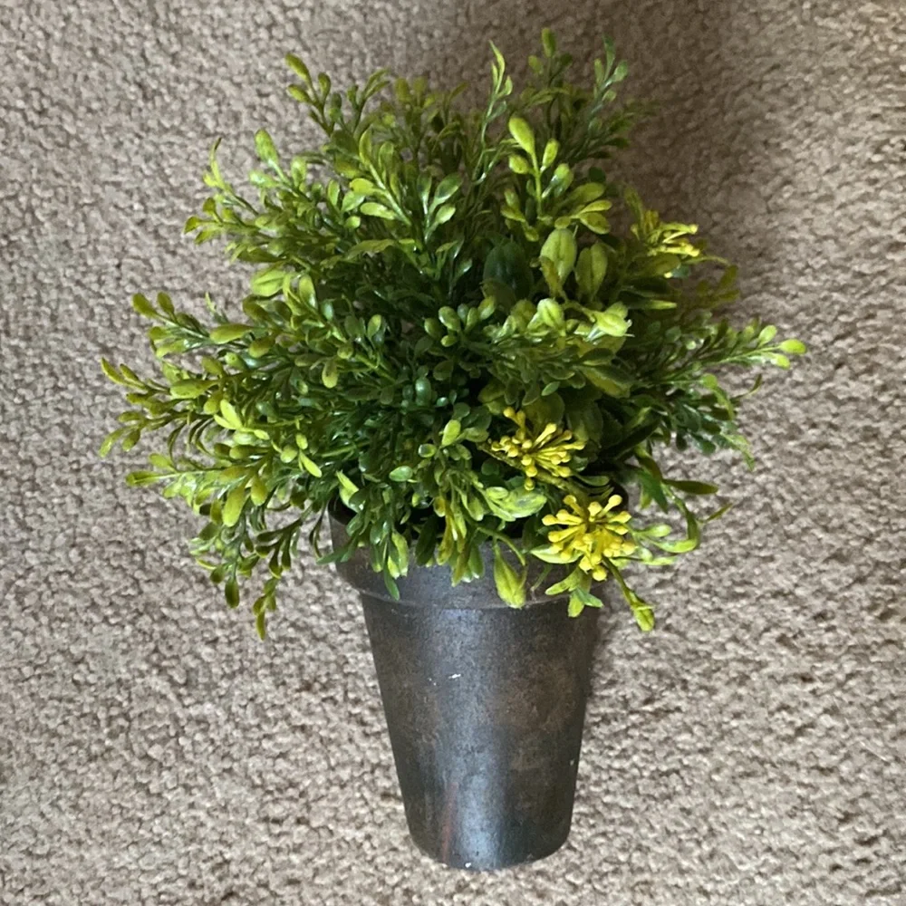 Potted Greenery